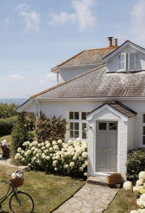 page distributor 01 e1744122188780